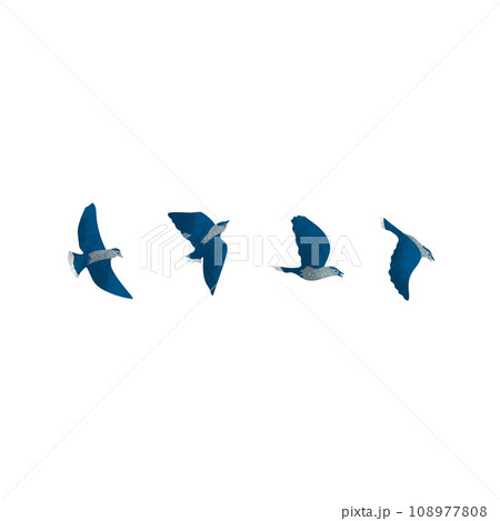 テクスチャのある空を飛ぶ青い鳥のイラスト4種 108977808