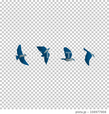テクスチャのある空を飛ぶ青い鳥のイラスト4種 108977808
