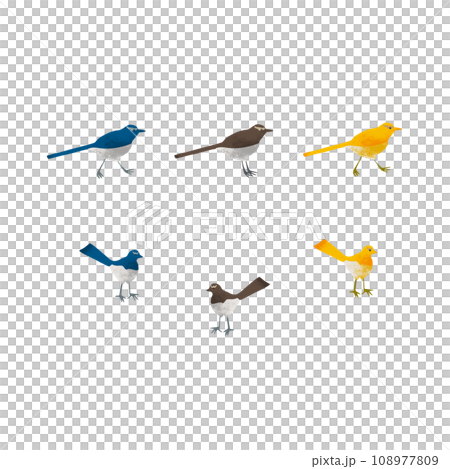 有紋理的藍色、黃色和棕色行走鳥圖 有紋理的藍色、黃色和棕色行走鳥圖 108977809