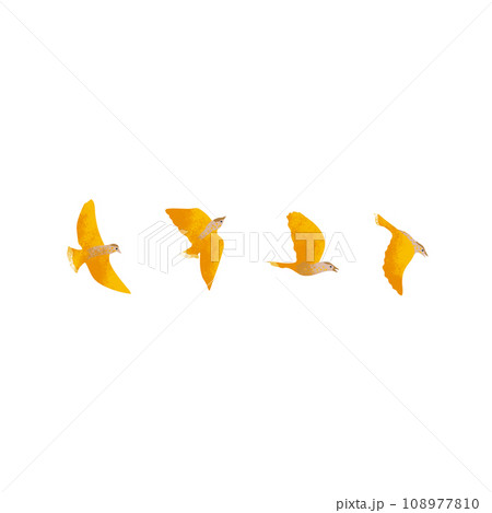 テクスチャのある空を飛ぶ黄色い鳥のイラスト4種 テクスチャのある空を飛ぶ黄色い鳥のイラスト4種 108977810