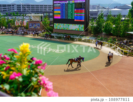 札幌競馬場パドック 108977811
