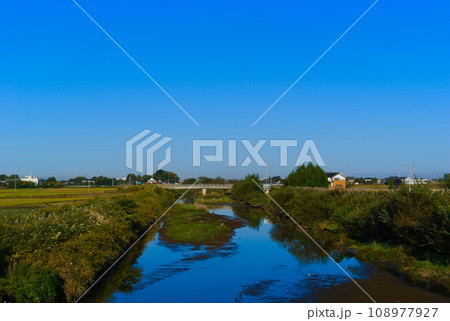 茨城県つくばみらい市中通川2023年11月 108977927
