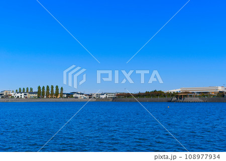 埼玉県越谷市大相模調節池周辺2023年11月 108977934