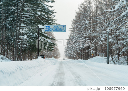 Beautiful snow road forest view during car driving in winter season. Winter travel, Road trip, Adventure, Exploring and Vacation concepts 108977960
