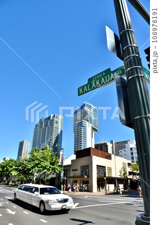 ハワイの休日 108978191