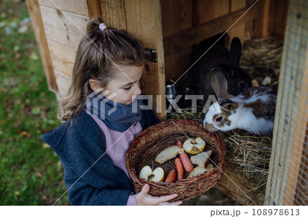 Girl feeding pet rabbit, giving it vegetables from the garden and old bread. Girl feeding pet rabbit, giving it vegetables from the garden and old bread. 108978613