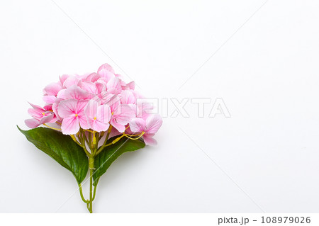 Woman with bouquet of beautiful roses on light blue background, closeup 108979026