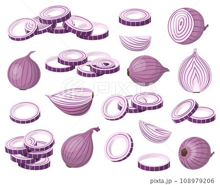 A set of red onions. The onion is cut in half, rings and slices. Isolated vector illustration. 108979206