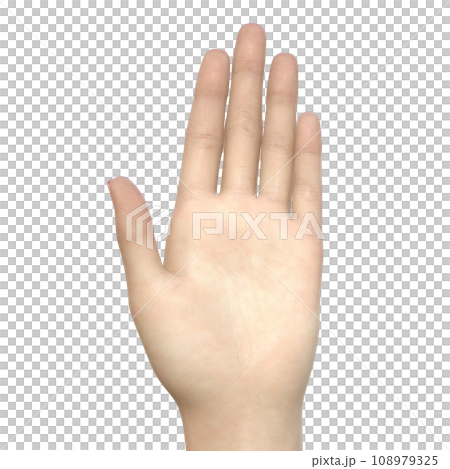 一個女人的手掌處於舉手姿勢，僅顯示手部部位的 3D 插圖。 108979325