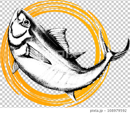 寫實日式鮪魚插畫 108979592