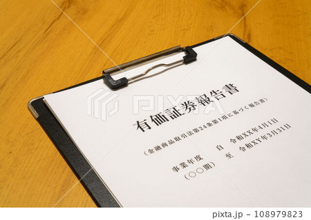 有価証券報告書　モデル資料 108979823