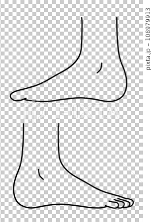 從側面看人腳的簡單圖解 108979913