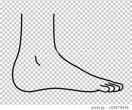 從側面看人腳的簡單圖解 108979936