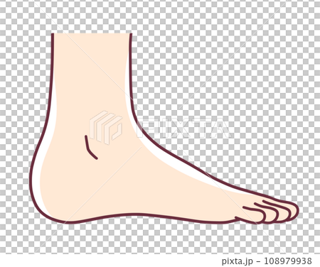 從側面看人腳的簡單圖解 108979938