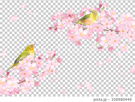 春の花:桜と小鳥(メジロ)の散る花びらのフレームデザイン。水彩イラスト。 春の花:桜と小鳥(メジロ)の散る花びらのフレームデザイン。水彩イラスト。 108980449