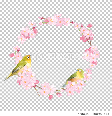 Watercolor illustration of cherry blossoms and two white-eyes. Spring round frame design. 108980453
