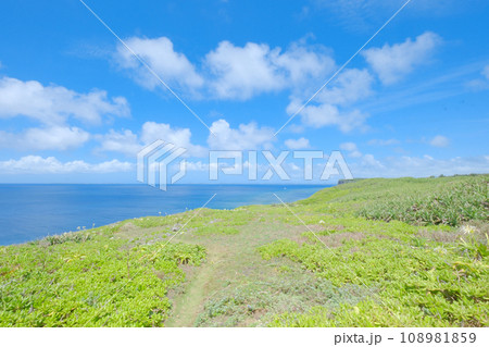 宮古島　伊良部島 白鳥岬公園 108981859