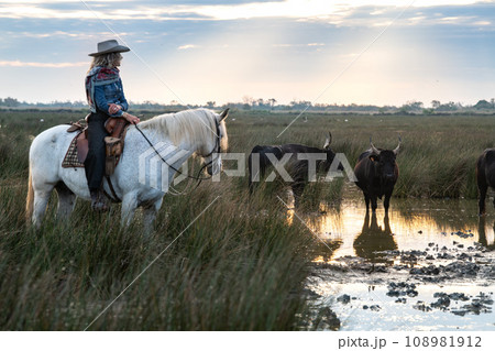 Landscape with bulls and guardians in Camargue 108981912
