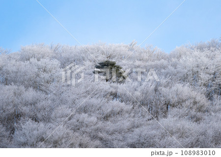 冬の景色　霧氷 108983010