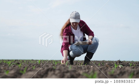 farmer field land corn tablet, fresh corn sprouts grow farm, green young sprout, agriculture, bloom blooming, female, bean air technology, nature communication field, seeding activity, accuracy farmer field land corn tablet, fresh corn sprouts grow farm, green young sprout, agriculture, bloom blooming, female, bean air technology, nature communication field, seeding activity, accuracy 108983817
