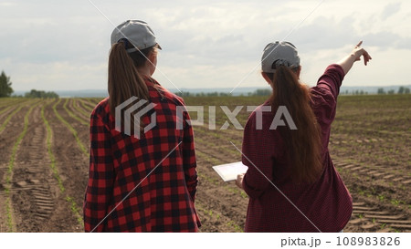 farmer tablet work field, business colleague, partner team group people, teamwork, sprout corn farm soil, working green field wheat, agricultural business, green field, corn for agricultural business 108983826