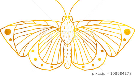 Butterfly in doodle style with golden foil effect. 108984178