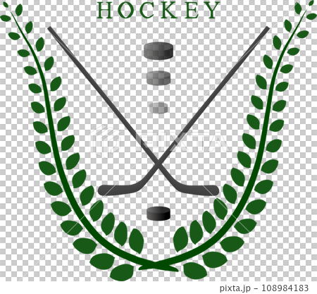 Collection accessory for sport game hockey 108984183