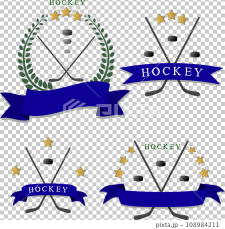 Collection accessory for sport game hockey 108984211