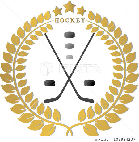 Collection accessory for sport game hockey Collection accessory for sport game hockey 108984237