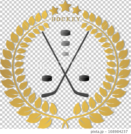 Collection accessory for sport game hockey Collection accessory for sport game hockey 108984237