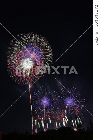 埼玉県　こうのす花火大会 108985172
