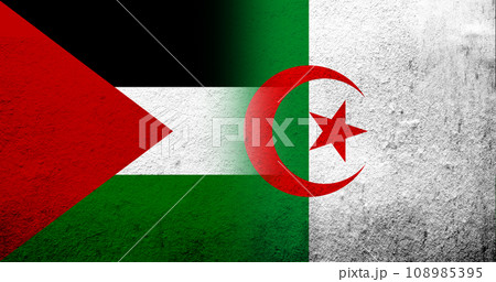 Flag of Palestine and Republic of Algeria national flag. Grunge background Flag of Palestine and Republic of Algeria national flag. Grunge background 108985395
