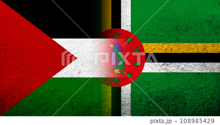 Flag of Palestine and the Commonwealth of Dominica National flag. Grunge background Flag of Palestine and the Commonwealth of Dominica National flag. Grunge background 108985429