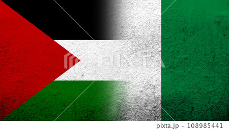 Flag of Palestine and The Federal Republic of Nigeria National flag. Grunge background Flag of Palestine and The Federal Republic of Nigeria National flag. Grunge background 108985441