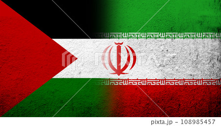 Flag of Palestine and The Islamic Republic of Iran (Persia) National flag. Grunge background 108985457