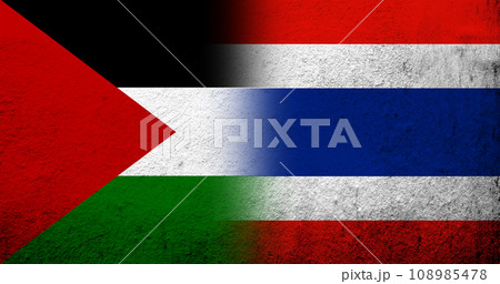 Flag of Palestine and The Kingdom of Thailand National flag. Grunge background 108985478