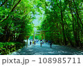 新緑の中の鳥居 108985711