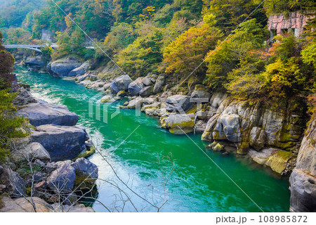秋の山清路【東筑摩郡生坂村】 108985872