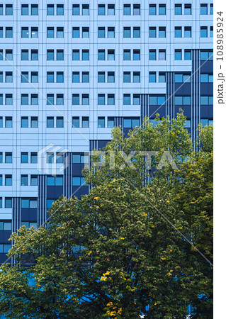 Modern building facade with rhythmic windows patterns against vibrant foliage of green trees. Urban architecture meets nature. Urban planning, architecture, green cities, environmental sustainability Modern building facade with rhythmic windows patterns against vibrant foliage of green trees. Urban architecture meets nature. Urban planning, architecture, green cities, environmental sustainability 108985924