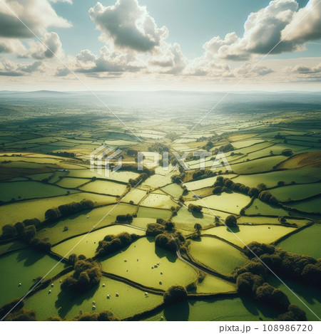 Aerial view of endless lush pastures and farmlands of Ireland. countryside with fields and meadows. 108986720