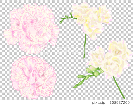 lisianthus freesia watercolor 108987200