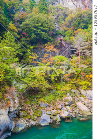 秋の山清路【東筑摩郡生坂村】 秋の山清路【東筑摩郡生坂村】 108987627