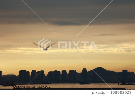 夕暮れの空を飛ぶ飛行機 夕暮れの空を飛ぶ飛行機 108988022