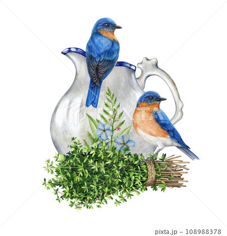 Rustic countryside vintage style decor. Watercolor illustration. Bluebird couple, thyme bunch and white porcelain jar rustic decor. Aromatic fresh thyme herb element with a couple of garden birds 108988378