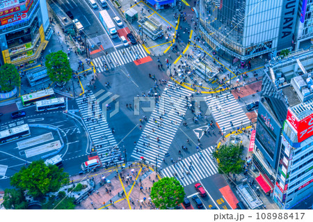 渋谷スクランブル交差点　2023秋 108988417