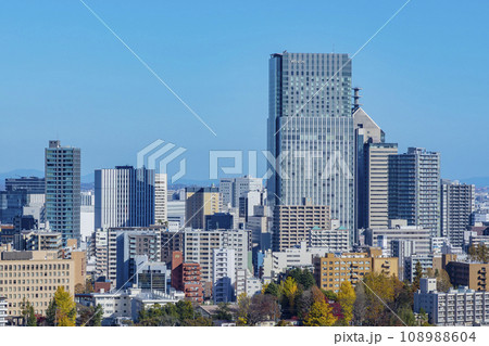 青葉城祉より紅葉の仙台市全景 青葉城祉より紅葉の仙台市全景 108988604