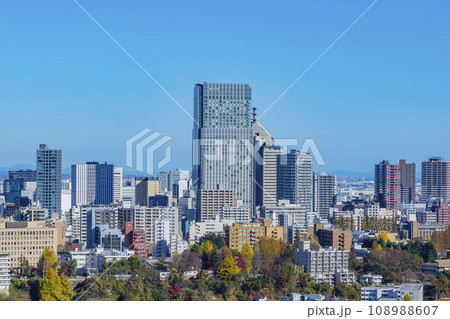 青葉城祉より紅葉の仙台市全景 青葉城祉より紅葉の仙台市全景 108988607