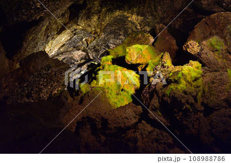 光り苔 珪酸華 光り苔 珪酸華 108988786