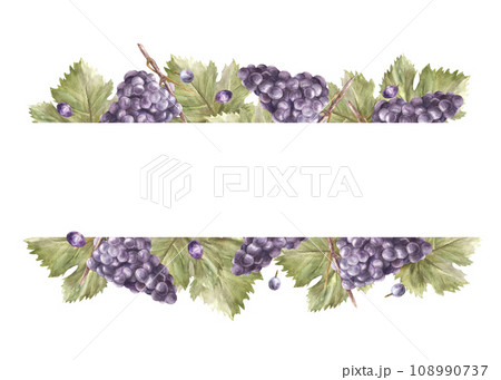 Watercolor rectangular frame, bunch of blue grapes leaves and grape berry. Grapevine label hand painted illustration for card, wine list, invitation, restaurant, bar print Isolated on white background 108990737