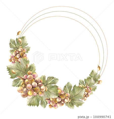 Watercolor wreath, round frame Bunch of green grapes, leaves and grape berry Grapevine, food or drink label Hand painted illustration Design of card, wine list, invitation Isolated on white background Watercolor wreath, round frame Bunch of green grapes, leaves and grape berry Grapevine, food or drink label Hand painted illustration Design of card, wine list, invitation Isolated on white background 108990741